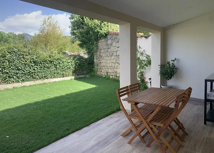 Apartamento Nouveau Sur ! T2 équipé Avec Jardin Cauro